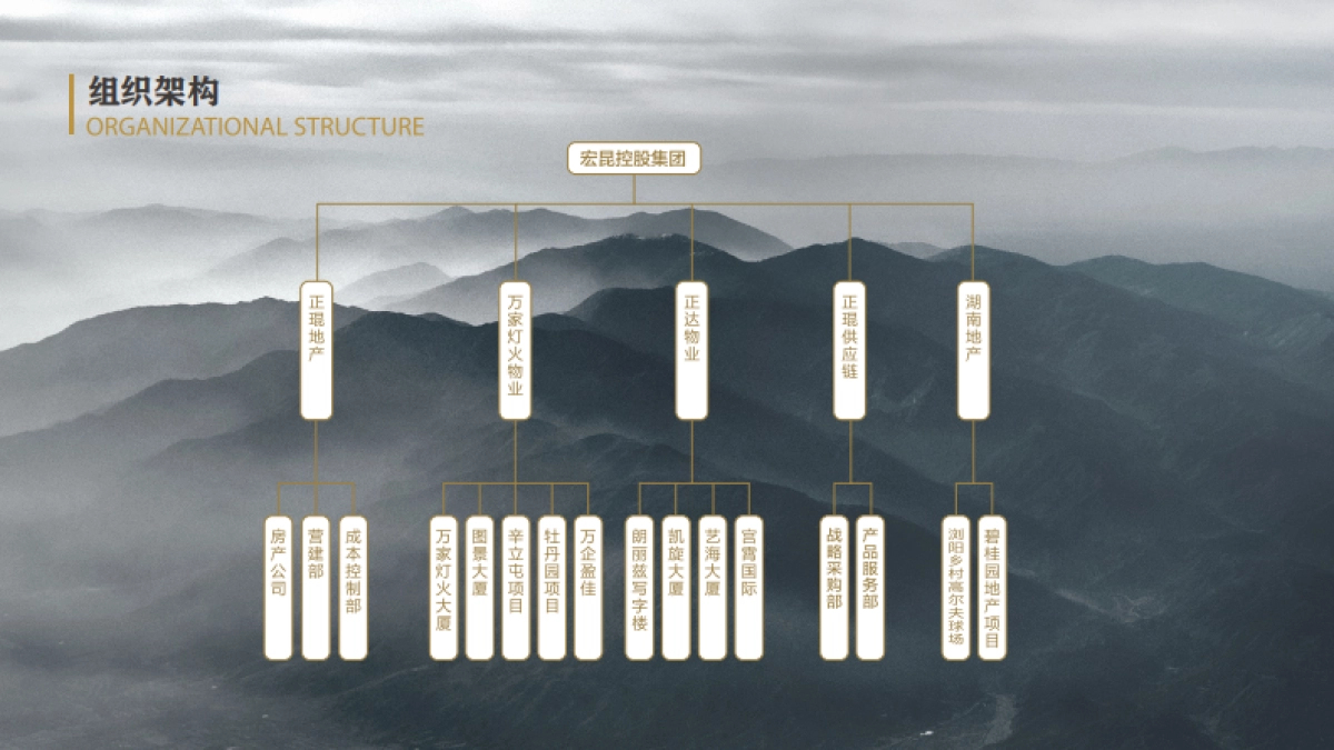 宏昆集团介绍（酒店）_第7页