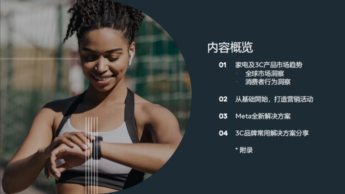 家电及3C产品出海白皮书-Meta-107页_第5页