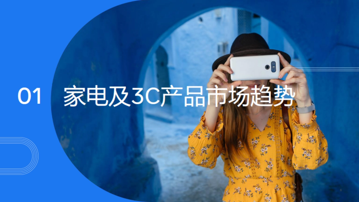 家电及3C产品出海白皮书-Meta-107页_第6页