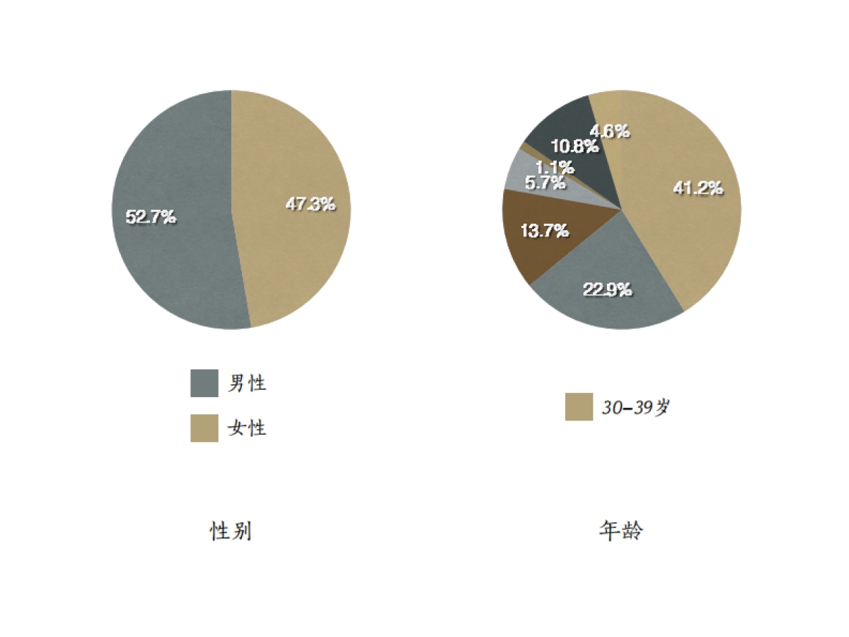 酒店风格探索汇报_第10页