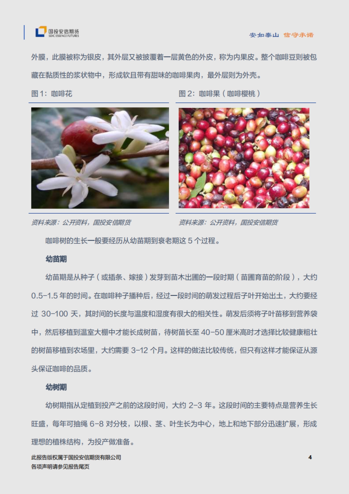 咖啡品种手册-国投安信期货-33页_第5页