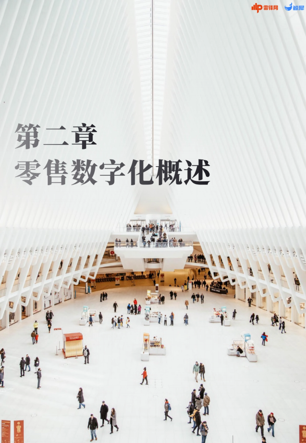 雷锋网 l 零售数智化： 需求洞察报告_第8页