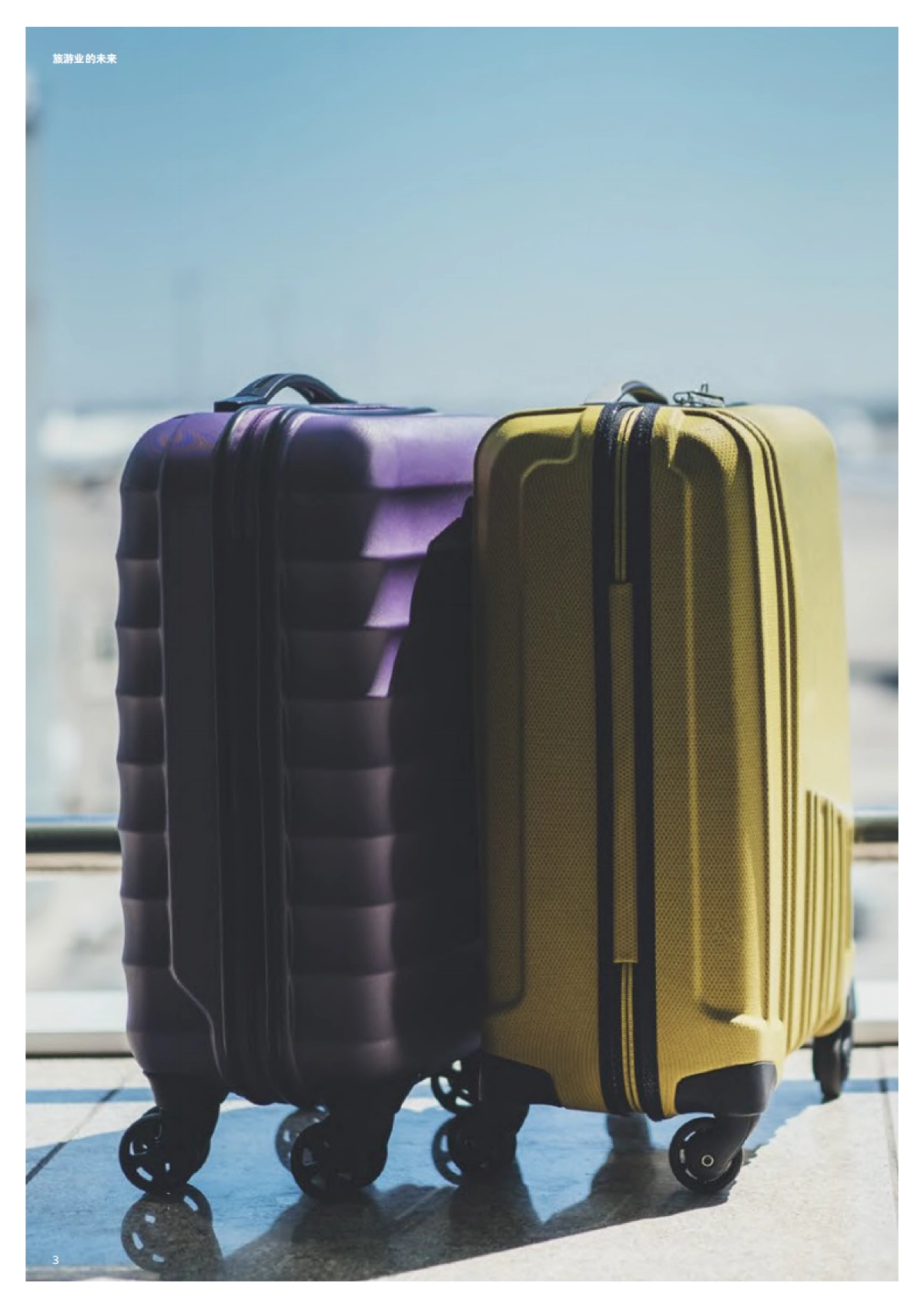 旅游业的未来-德勤-32页_第4页