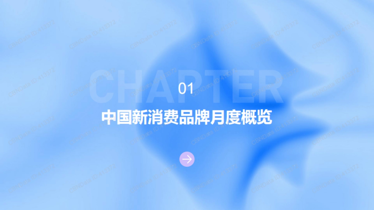 中国新消费品牌8-9月观察报告-CBNData×品牌数集_第4页