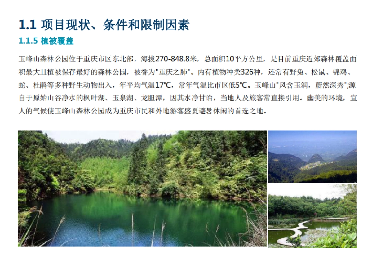 重庆龙景温泉酒店项目发展战略及整体定位报告_第8页