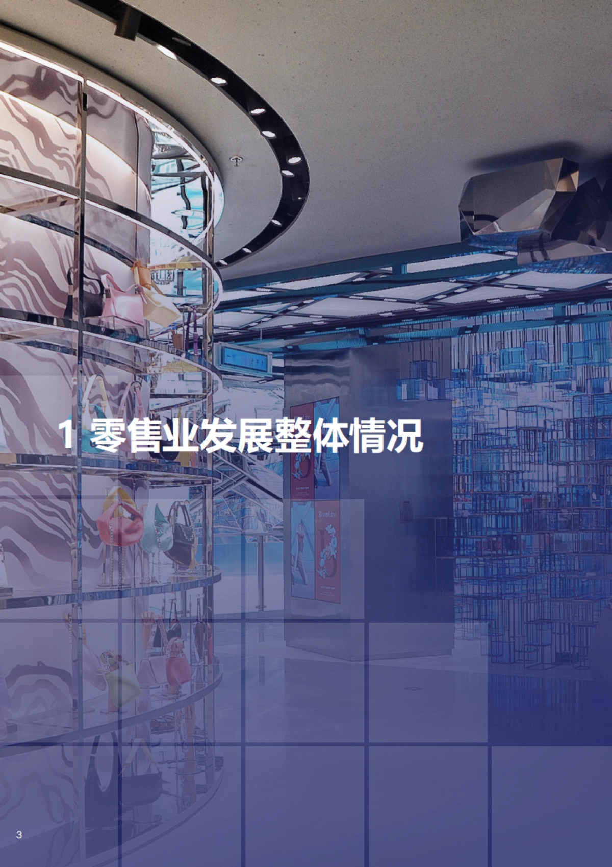 中国百货商业协会:2023-2024中国百货零售业发展报告_第4页