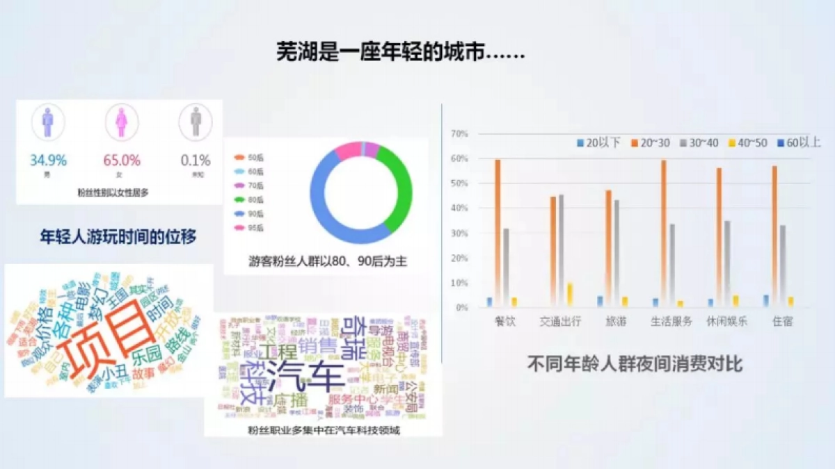 中国旅游研究院：芜湖市夜间旅游发展报告_第6页