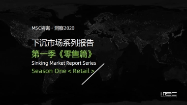 中国下沉市场系列报告（消费零售篇）-MSC咨询