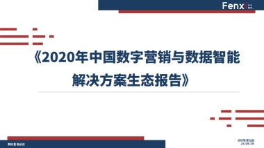 2020年中国数字营销与数据智能解决方案生态报告