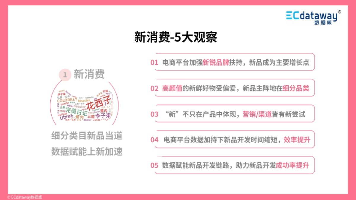 2021年互联网趋势洞察及展望 -数据威_第5页