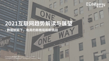 2021年互联网趋势洞察及展望 -数据威