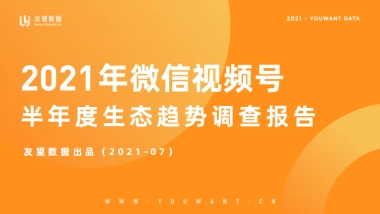 2021年微信视频号半年度生态趋势调查报告-友望数据