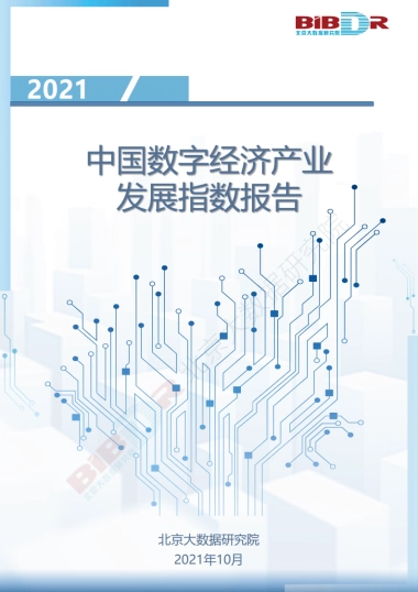 2021中国数字经济产业发展指数报告-北京大数据研究所-24页