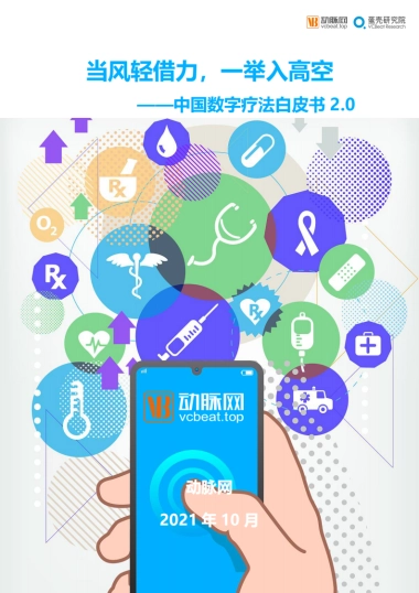 2021中国数字疗法白皮书2.0：当风轻借力，一举入高空