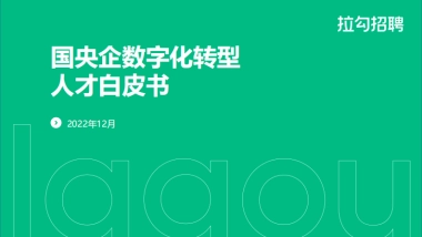拉勾招聘：2022国央企数字化转型人才白皮书