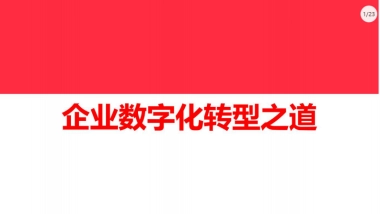企业数字化转型之道-26P