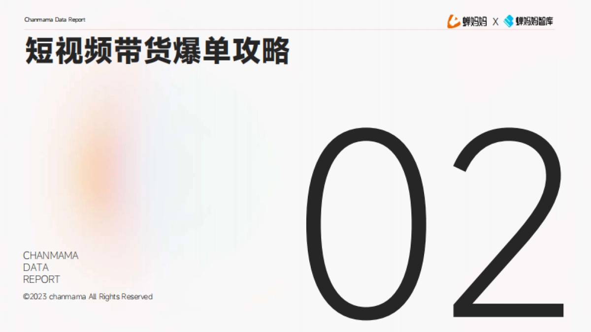 视频带货爆单指南_第10页