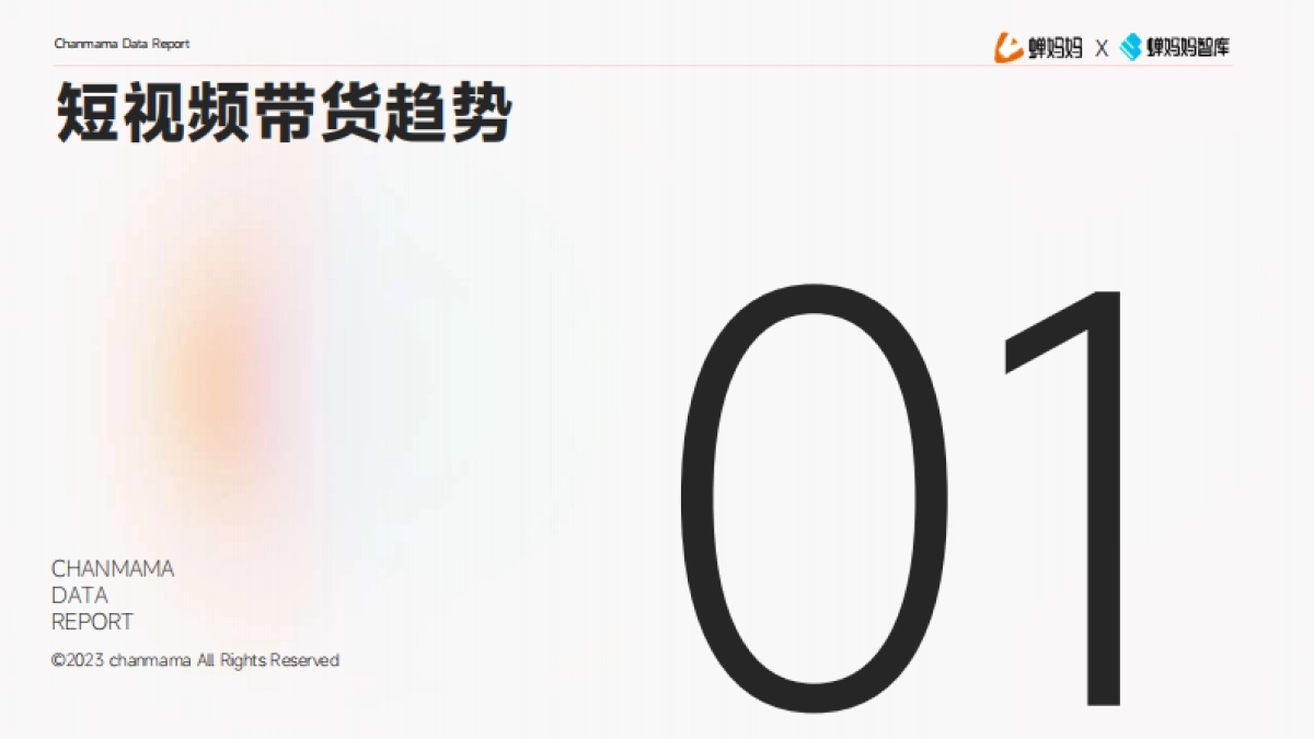 视频带货爆单指南_第4页