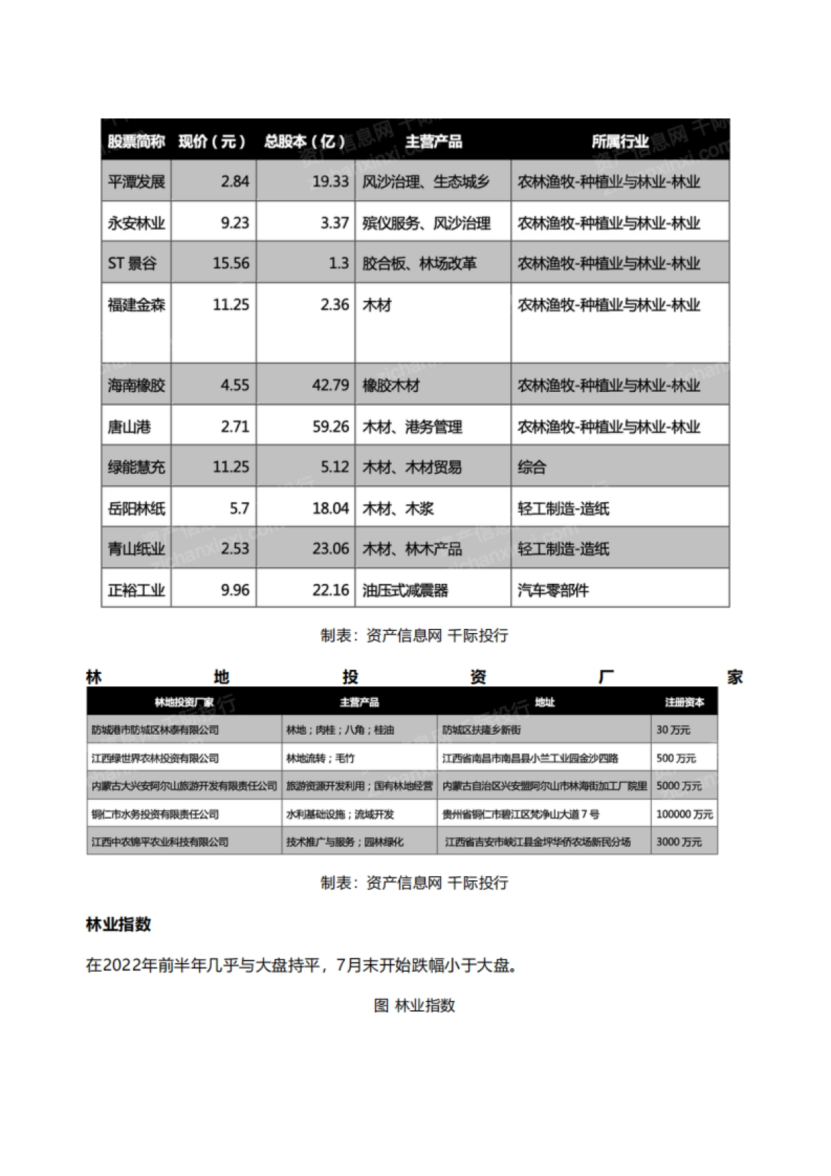 资产信息网&千际投行:2022年林业用地投资研究报告_第2页