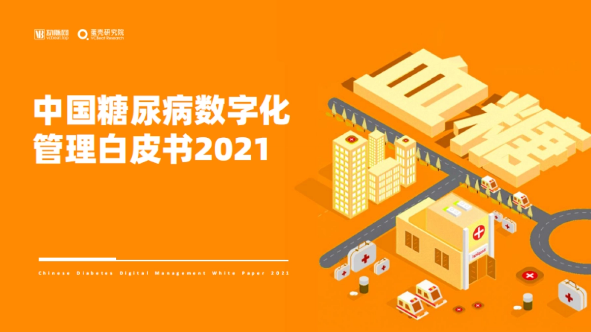 中国糖尿病数字化管理白皮书2021-35页_第1页