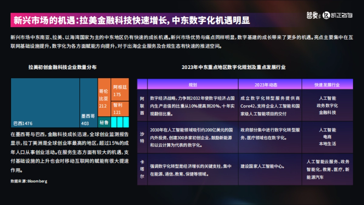 AI潮起:2024中国新科技出海报告_第8页