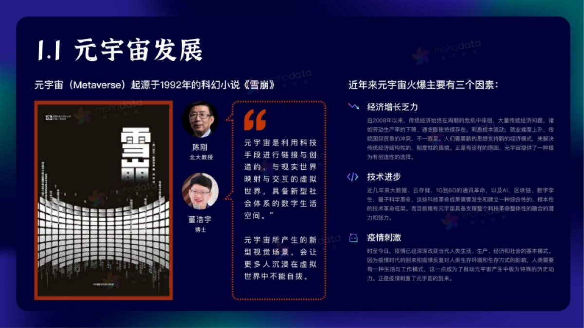 梅花数据：元宇宙品牌实践洞察报告_第5页