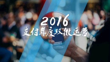 2016年支付年度双微运营方案