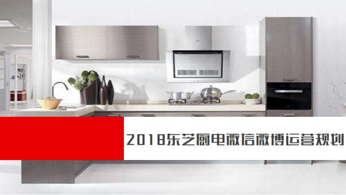 2018东芝厨电微信微博运营规划_第1页
