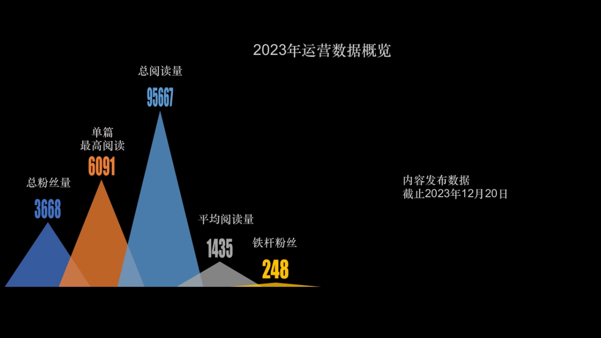 2024龙湖江南府2024年度微信运营方案_第4页
