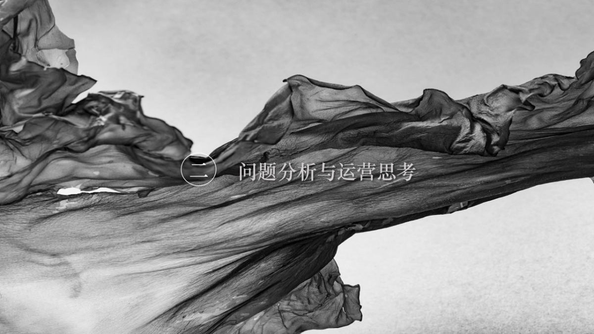 2024龙湖江南府2024年度微信运营方案_第9页