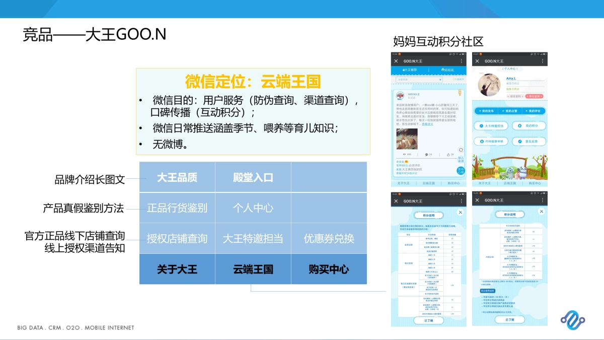 Suyappy舒芽奇双微运营方案89页_第10页