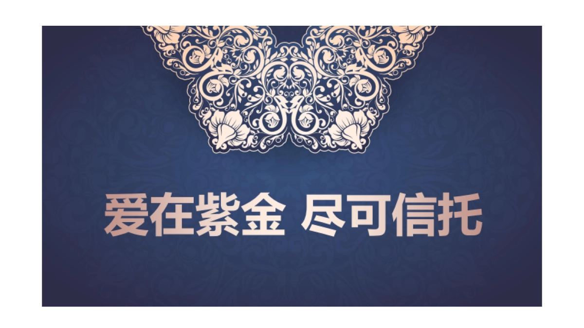 金融-2016紫金信托微信年度活动规划-70p_第9页