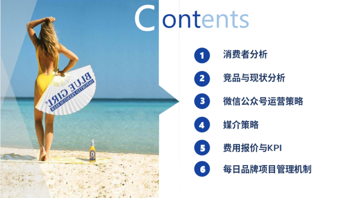 蓝妹微信传播策略方案&公司介绍_第2页