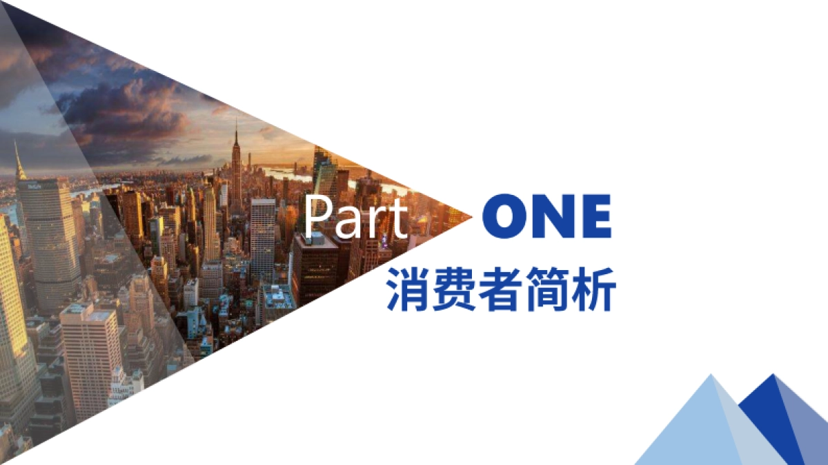 蓝妹微信传播策略方案&公司介绍_第3页