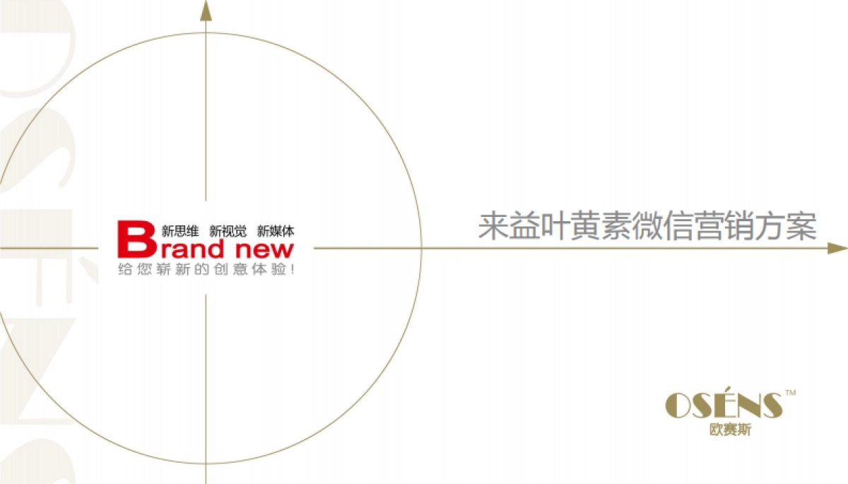 欧赛斯来益叶黄素医药大将抗微信营销自媒体方案 _第1页