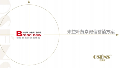 欧赛斯来益叶黄素医药大将抗微信营销自媒体方案 