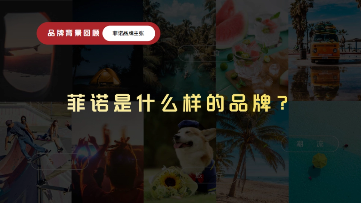 菲诺椰子水微博传播方案_第7页