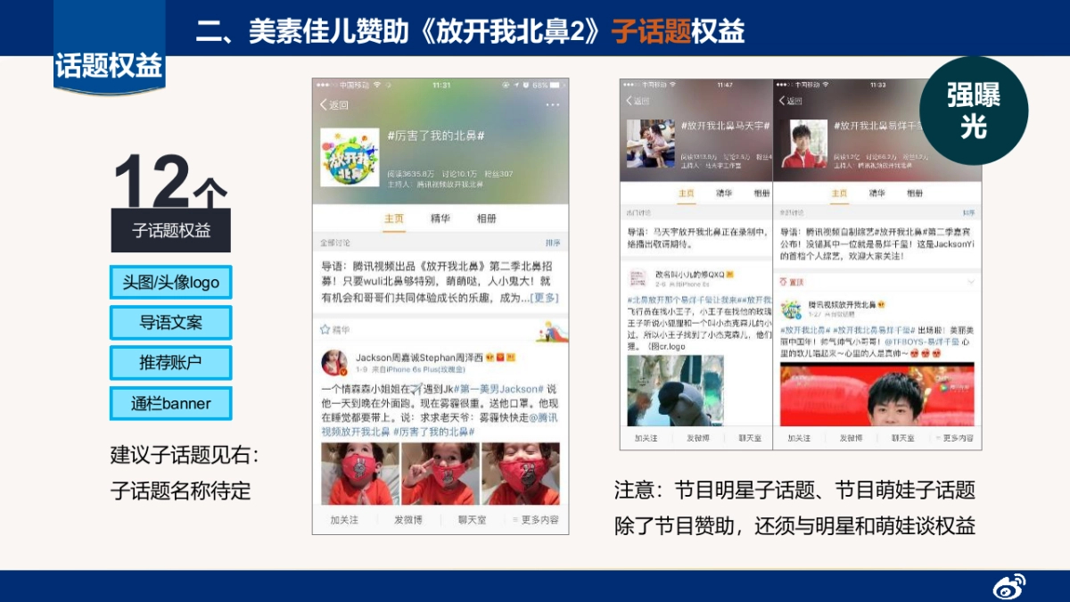 美素佳儿微博营销建议_第10页