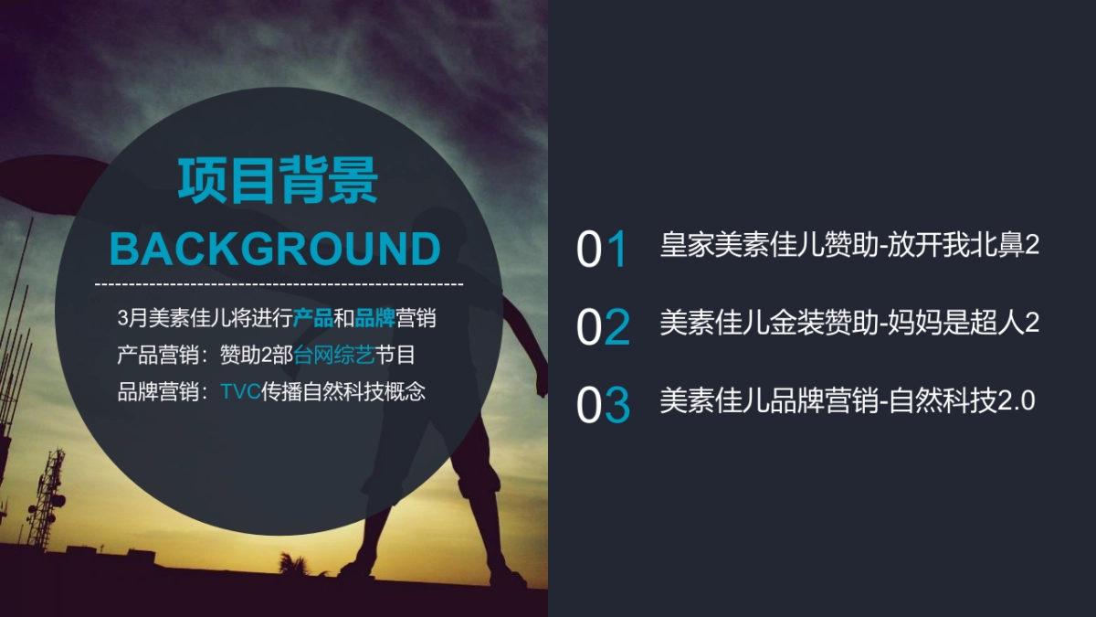 美素佳儿微博营销建议_第2页