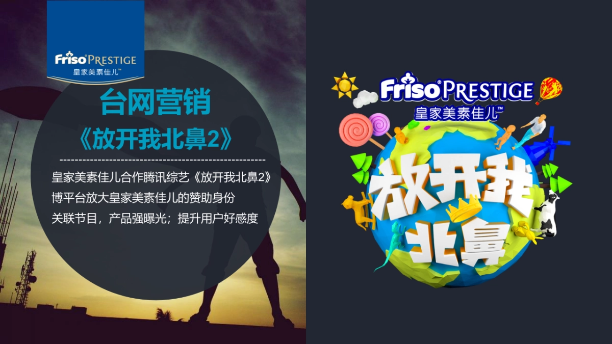 美素佳儿微博营销建议_第5页