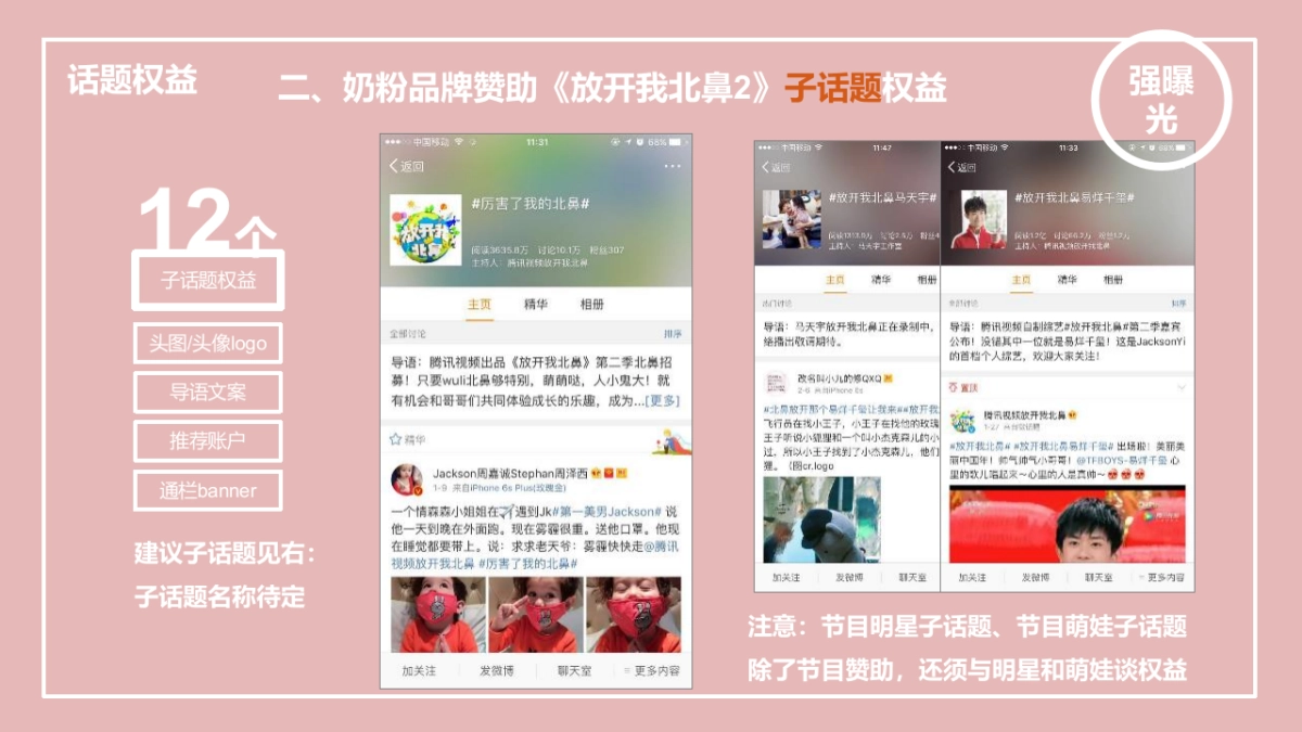 奶粉品牌微博互动营销方案_第10页