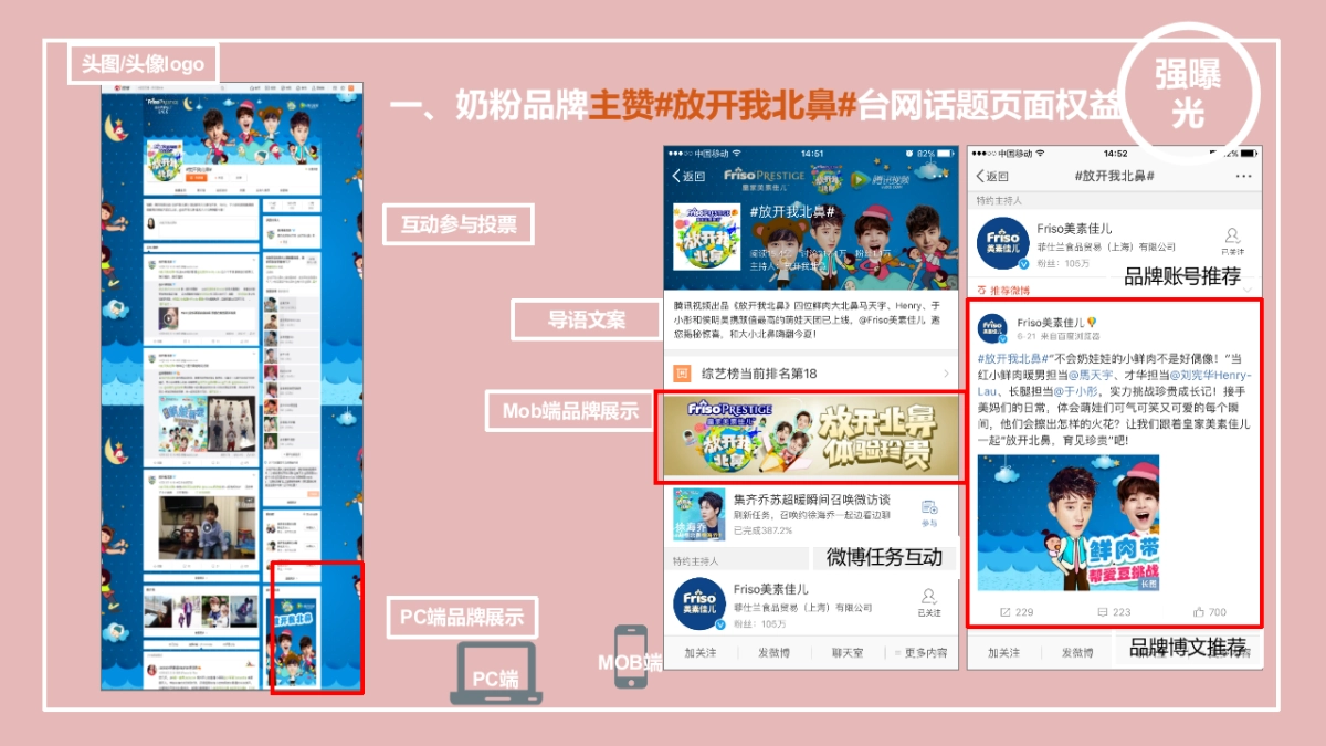奶粉品牌微博互动营销方案_第9页