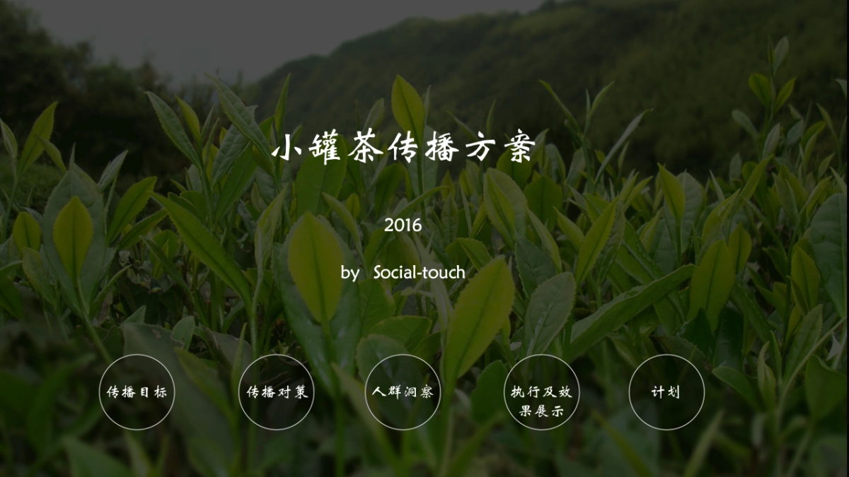 时趣-鲁楠-小罐茶微博投放_第1页