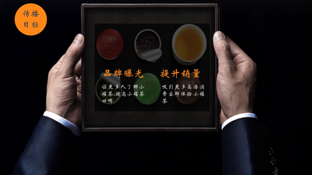 时趣-鲁楠-小罐茶微博投放_第3页