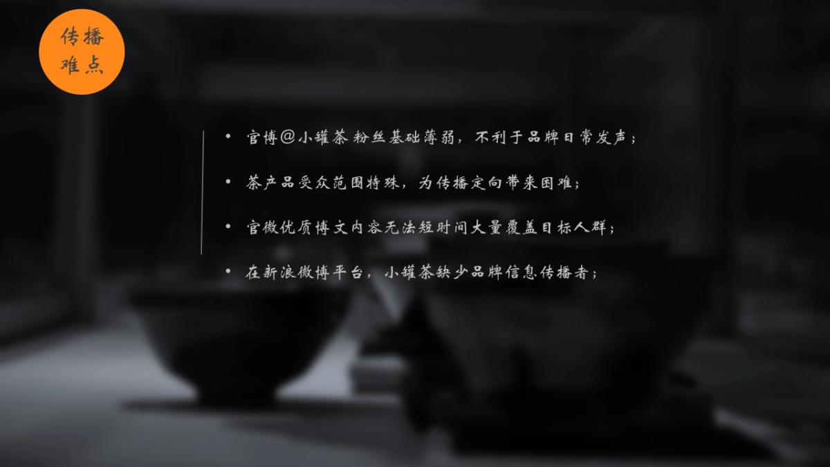 时趣-鲁楠-小罐茶微博投放_第5页