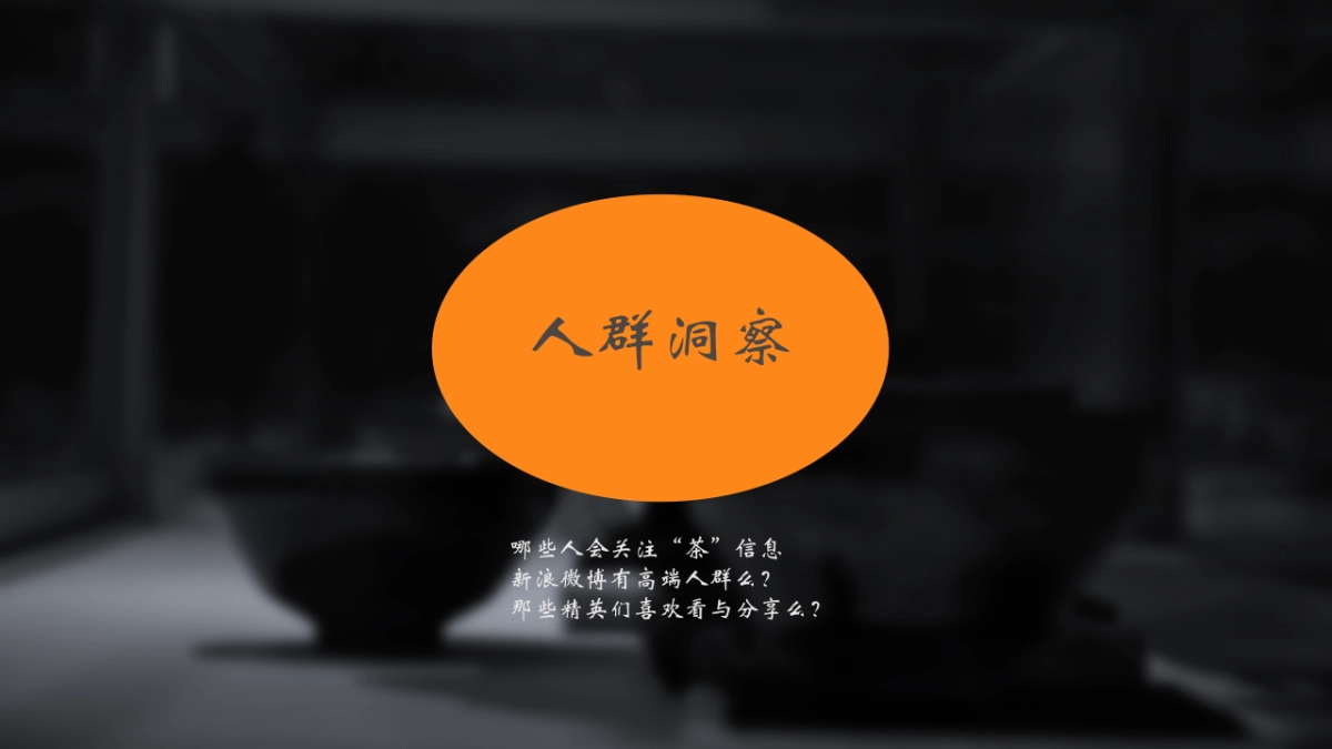 时趣-鲁楠-小罐茶微博投放_第6页