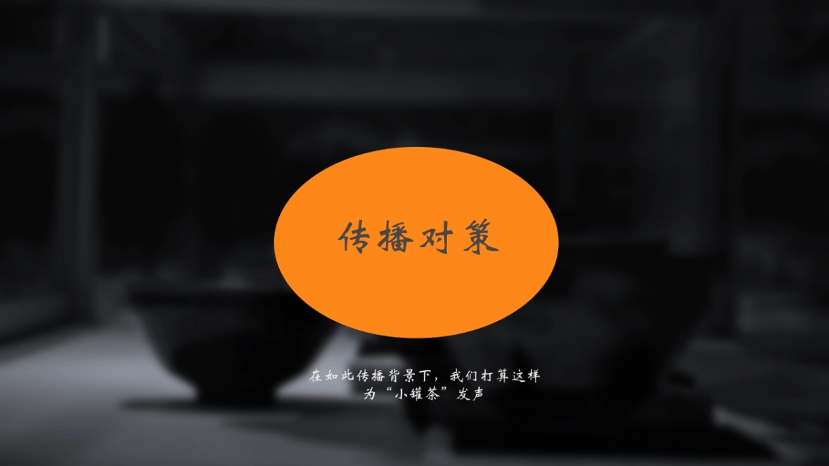 时趣-鲁楠-小罐茶微博投放_第9页