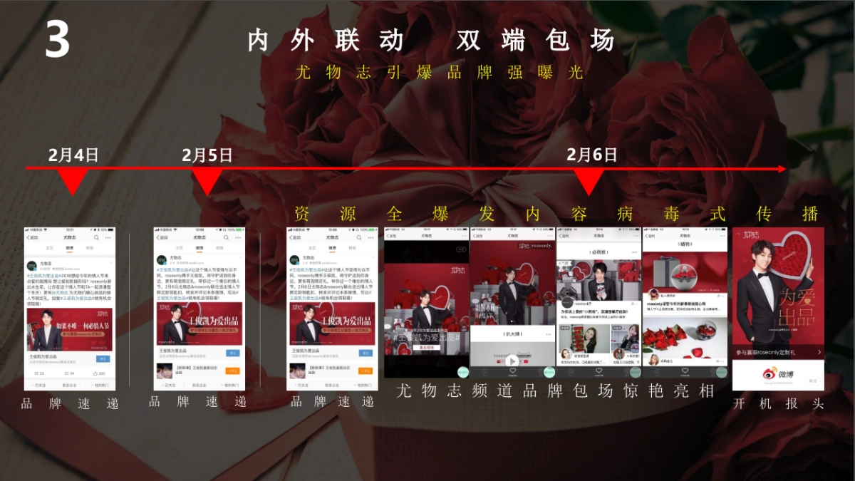 尤物志 x Roseonly情人节专场微博营销结案_第7页