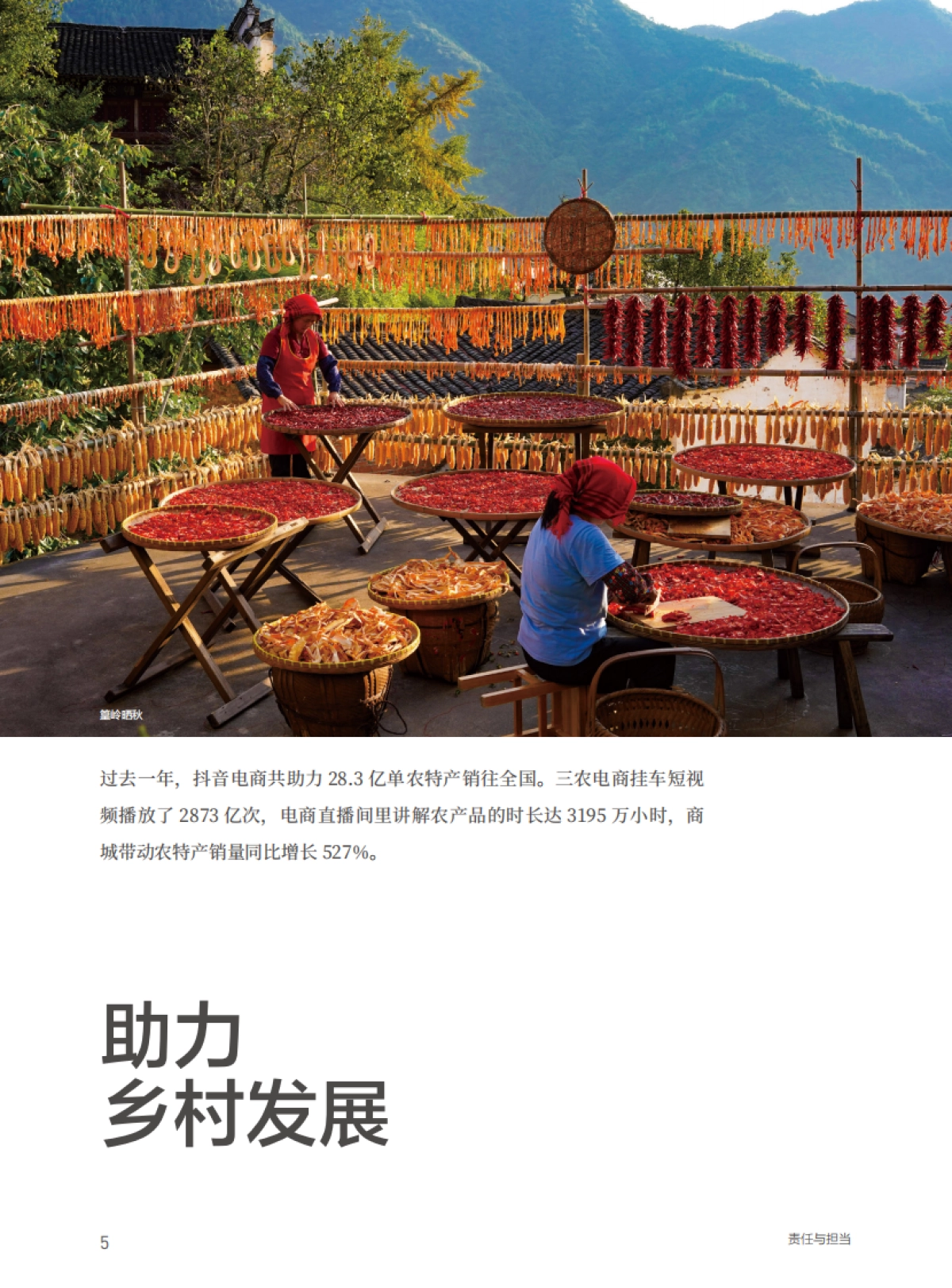 抖音电商-2022抖音电商这一年_第5页