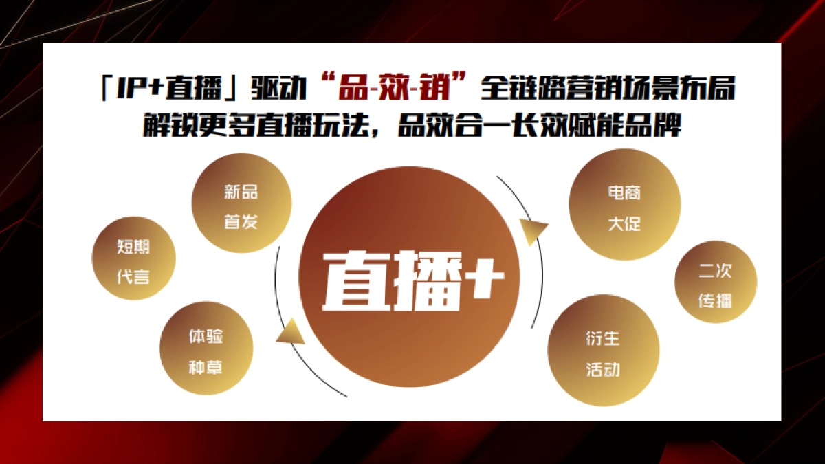 《乘风破浪的姐姐》抖音直播招商方案_第3页